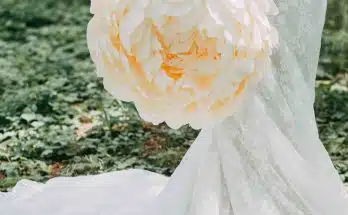 Woman Holding White Petaled Flower