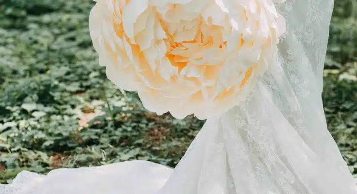 Woman Holding White Petaled Flower